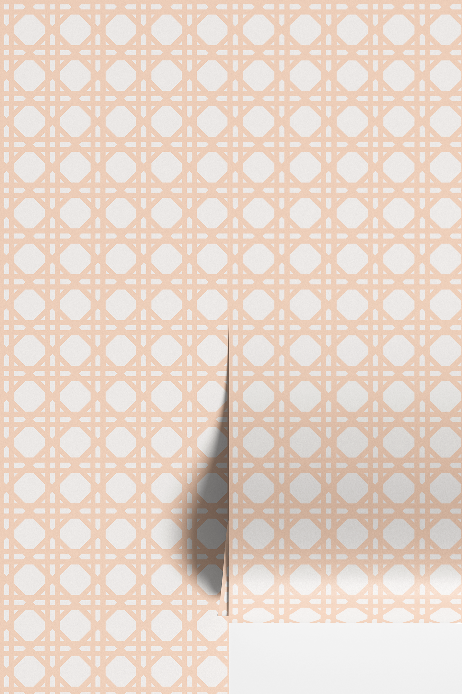 Rattan Wallpaper