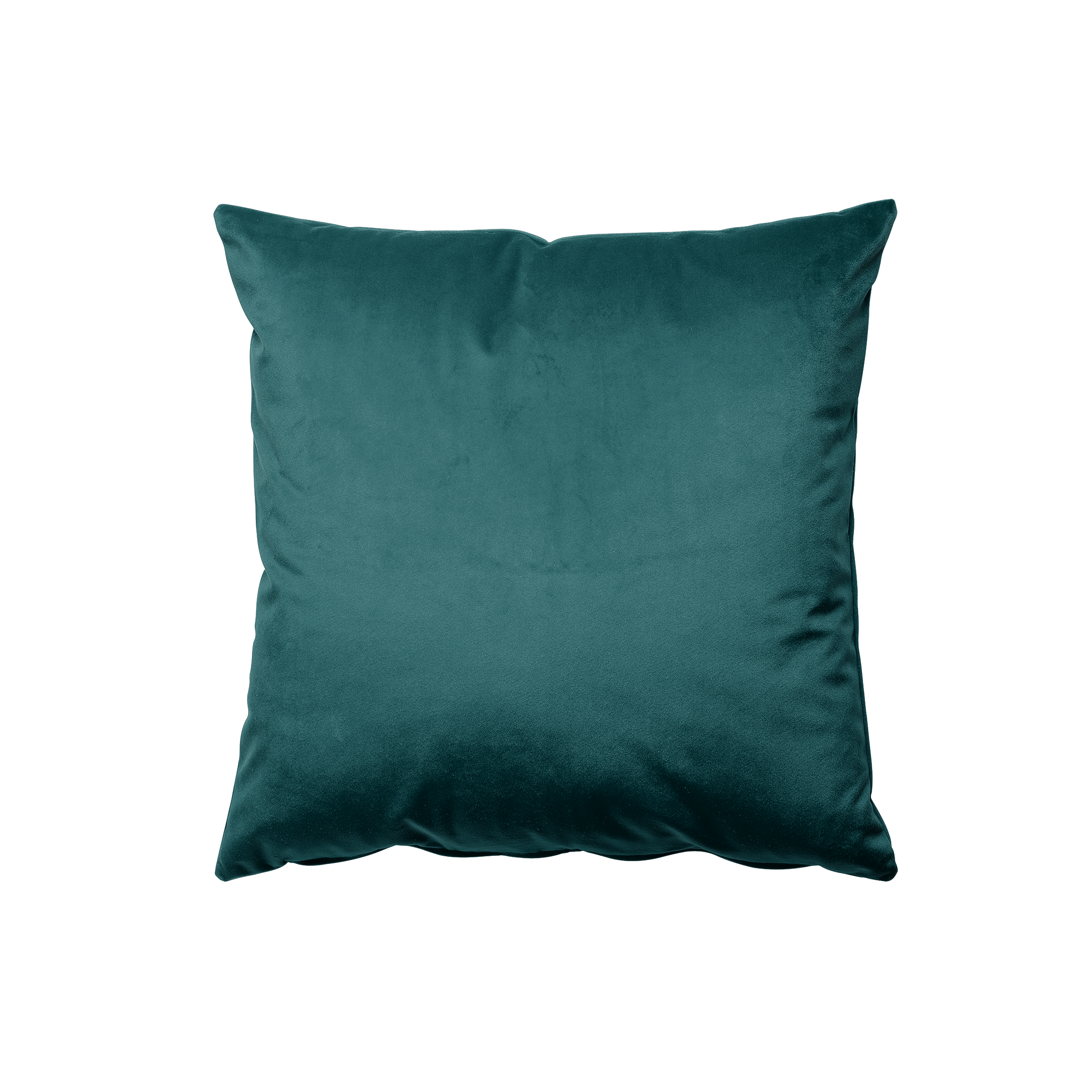 Peacock Velvet Pillow