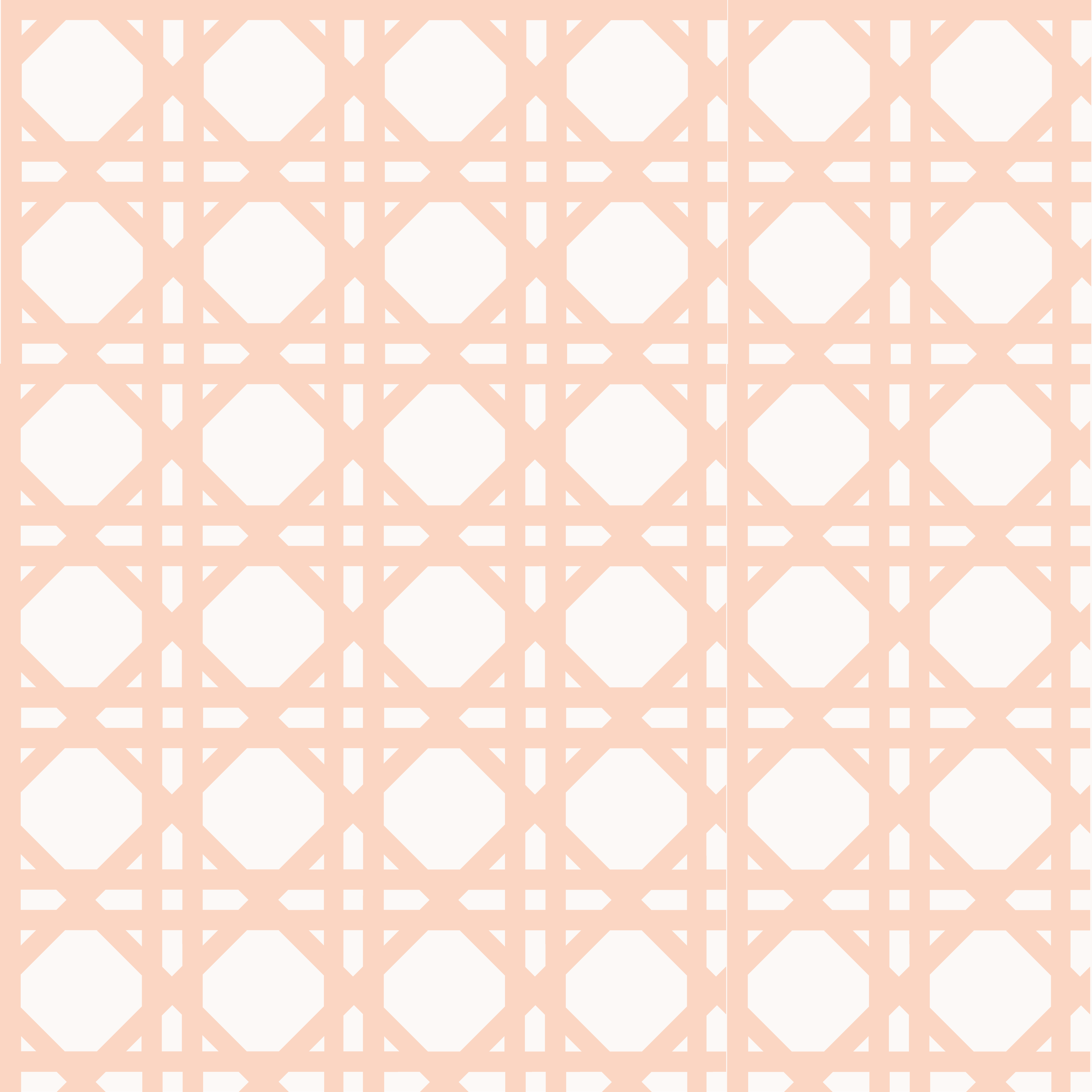 Rattan Wallpaper