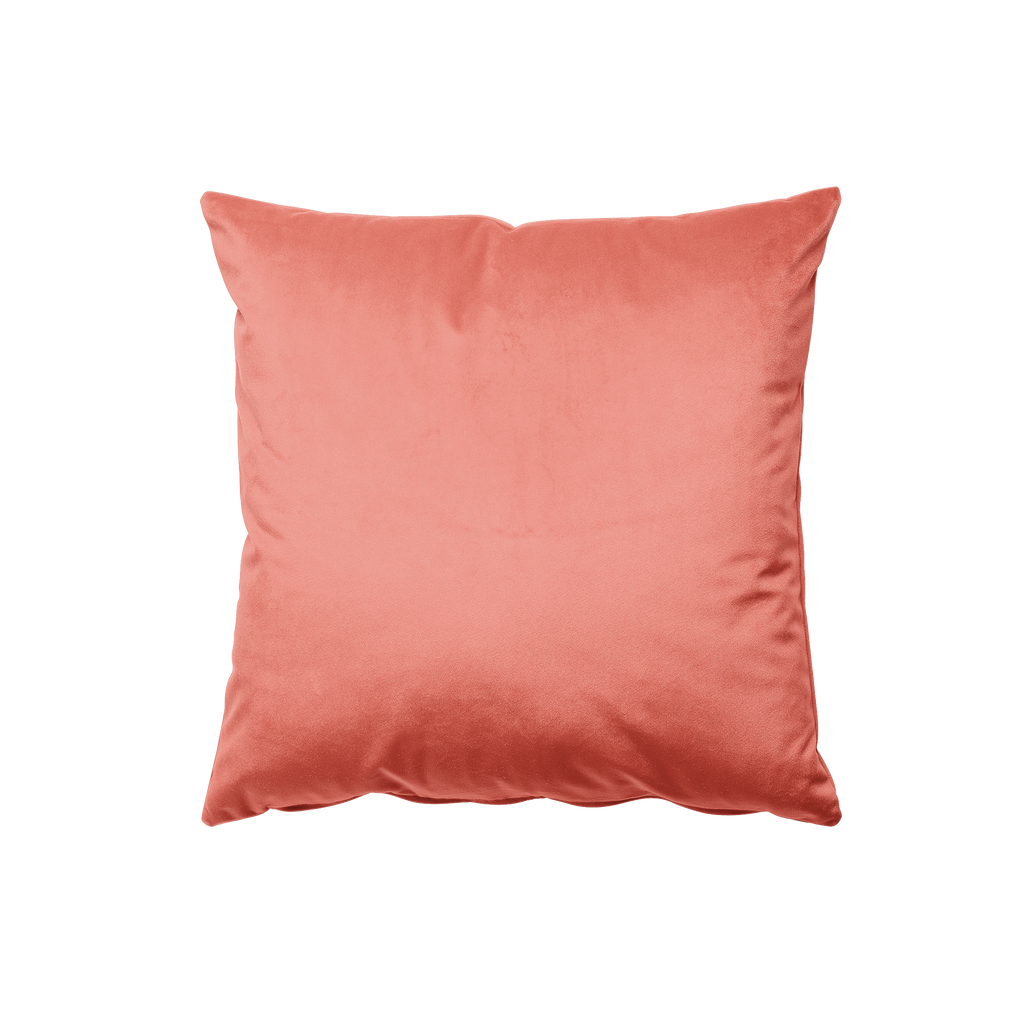 Coral velvet online pillow