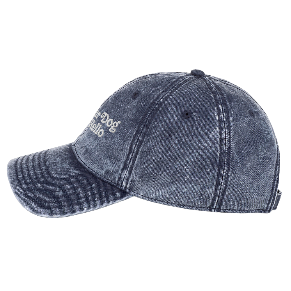 Tell Your Dog I Said Hello Dad Hat